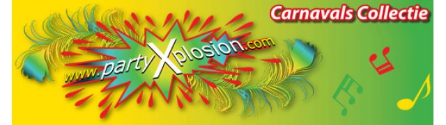 Party Xplosion Brushes